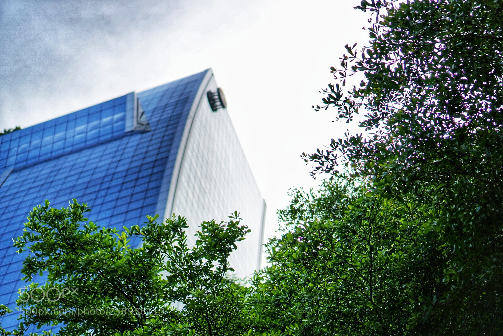 Sony a6500 sample photo. Tower & tree photography