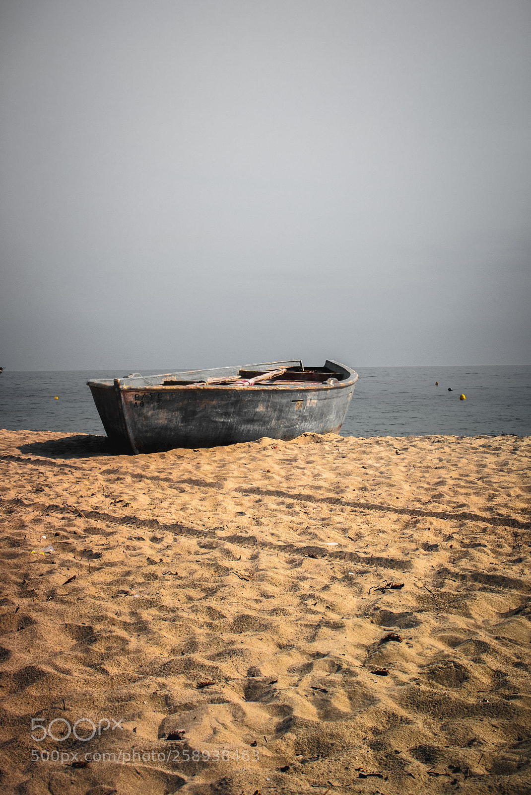 Canon EOS 750D (EOS Rebel T6i / EOS Kiss X8i) sample photo. On the sand 2 photography
