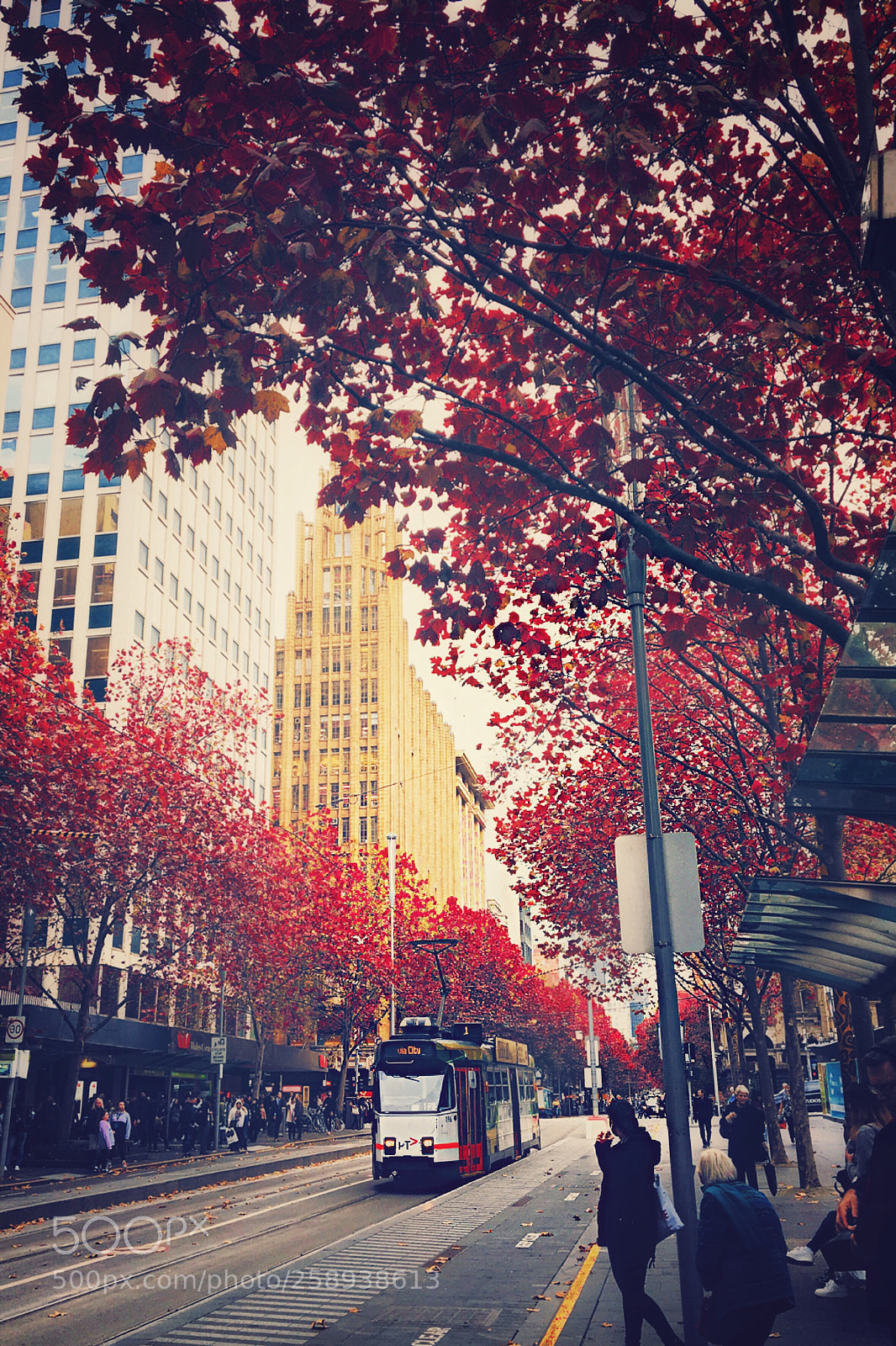 Apple iPhone 6s sample photo. Melbourne photography