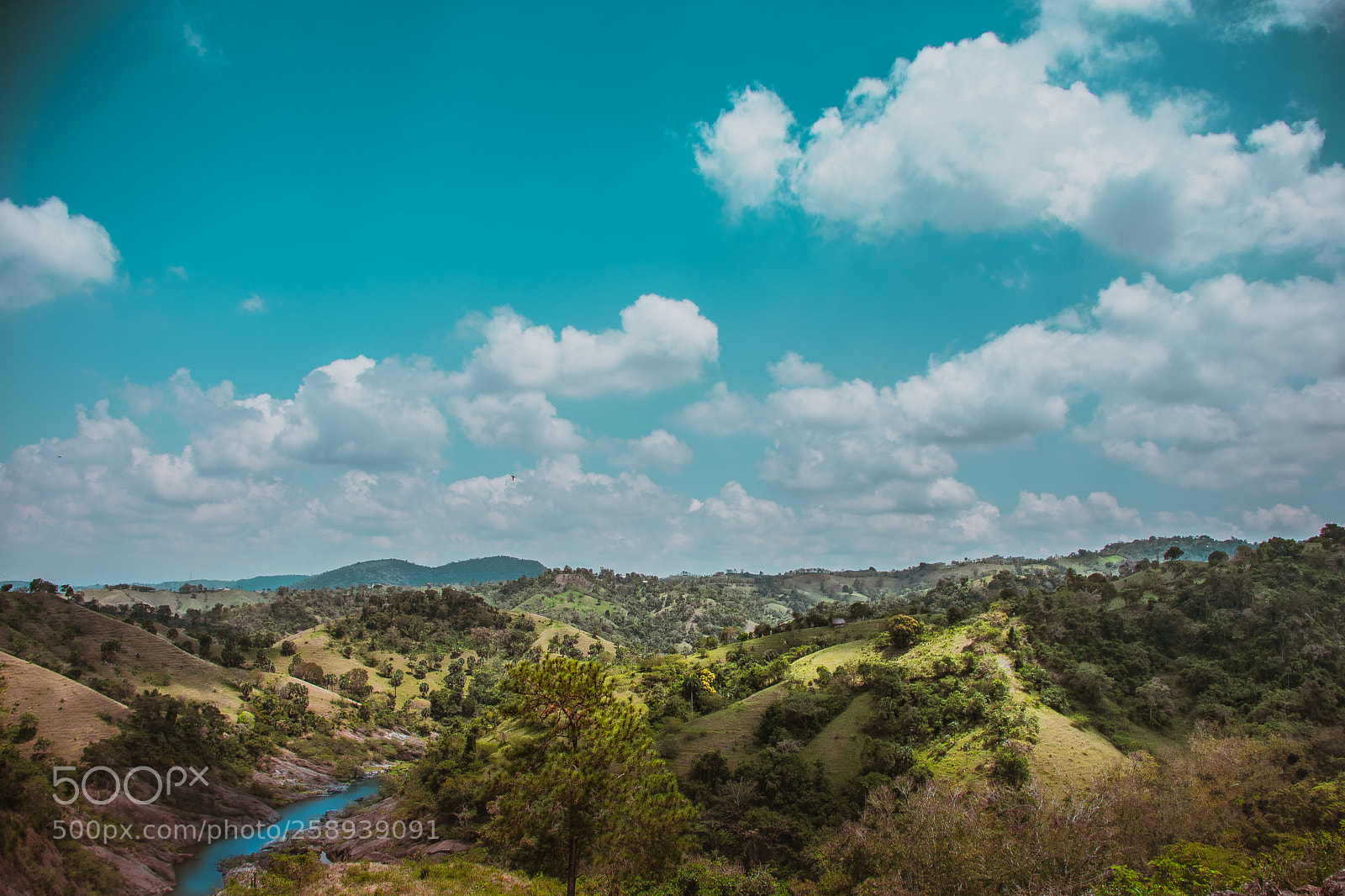 Nikon D3400 sample photo. Nature... pure life photography