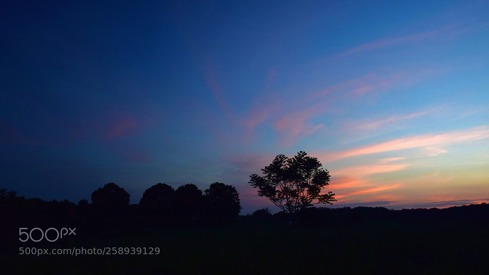 Nikon D5300 sample photo. Pink sky at night photography