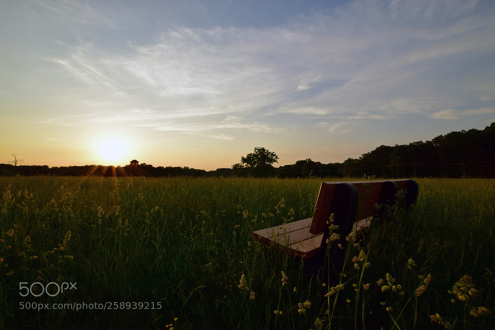 Nikon D5300 sample photo. Field of dreams photography