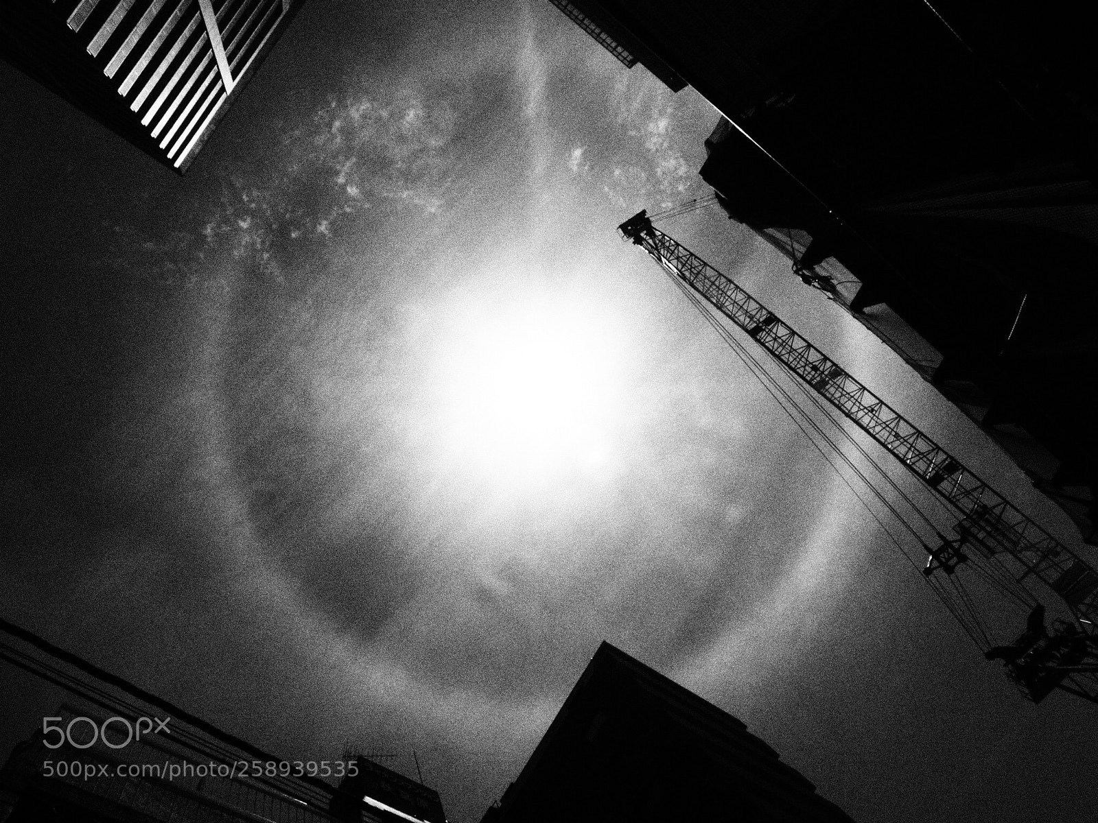 Olympus OM-D E-M5 II sample photo. Sunbow photography