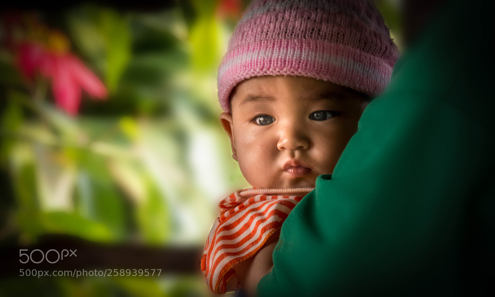 Nikon D5200 sample photo. Cuteness plus photography
