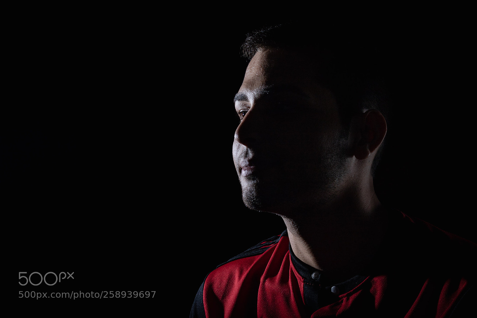 Canon EOS 750D (EOS Rebel T6i / EOS Kiss X8i) sample photo. Leonardo photography