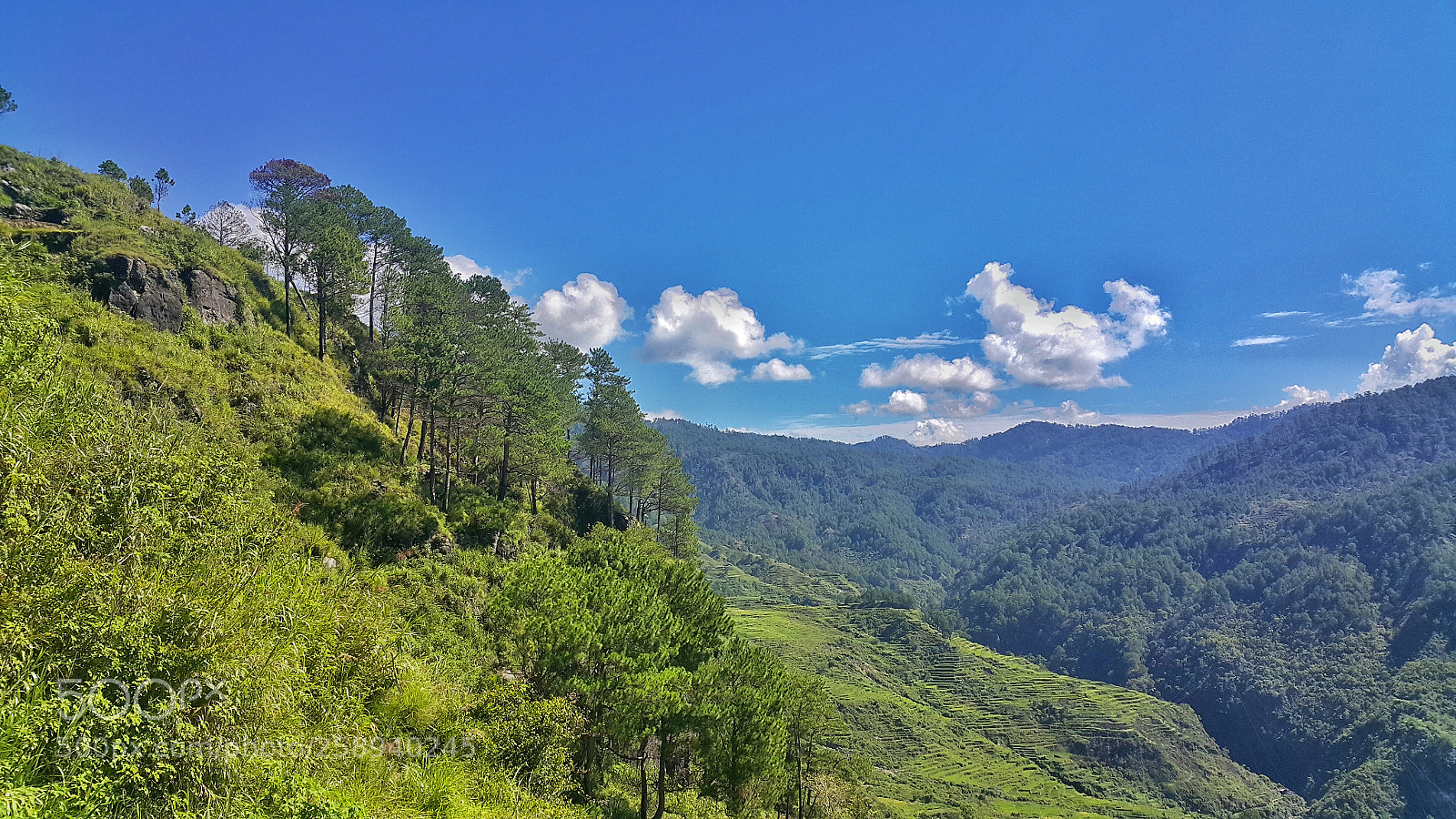 Samsung Galaxy Note4 sample photo. Hiking trail photography