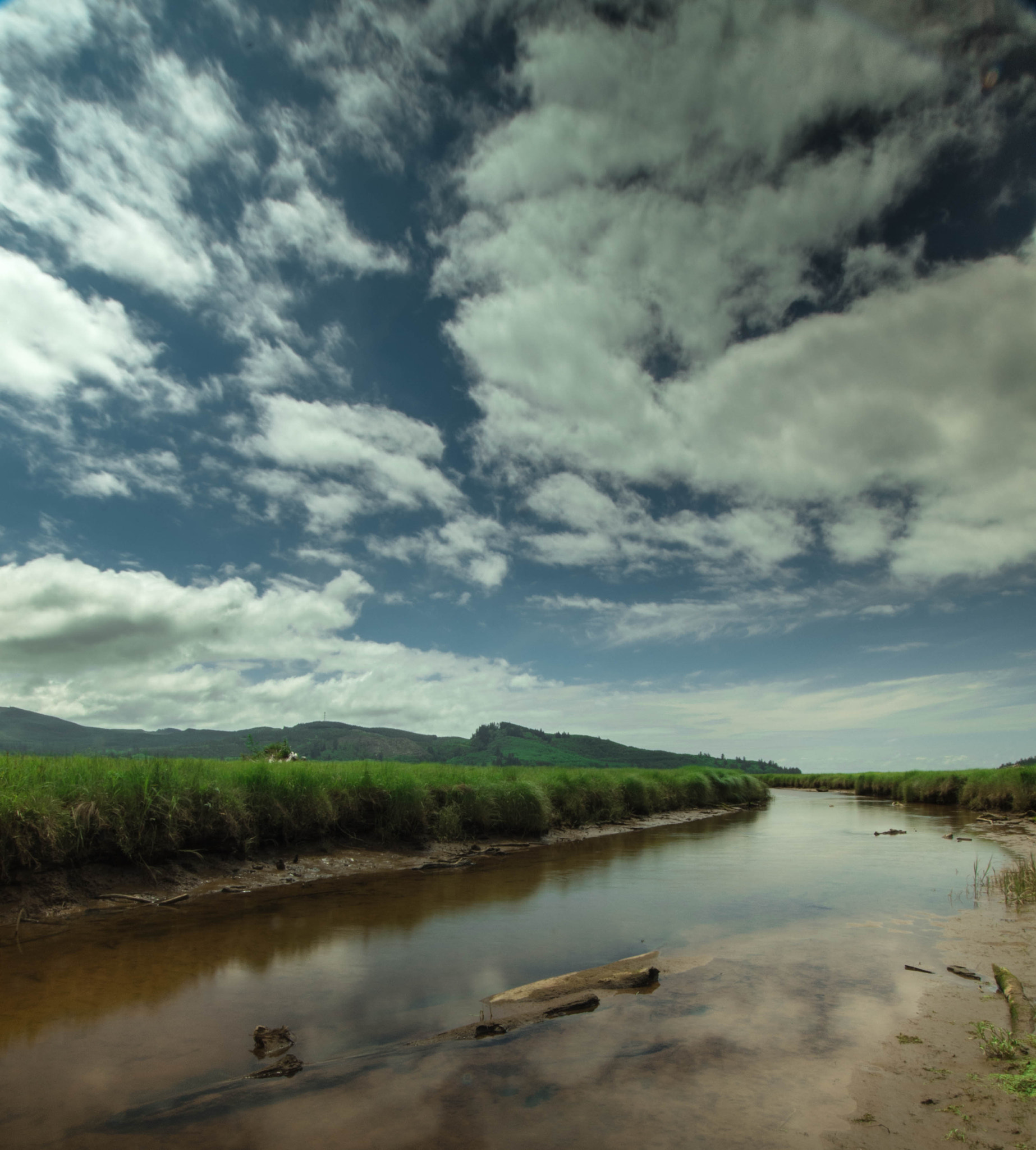 Pentax K-5 II sample photo. Nehalem pointe photography