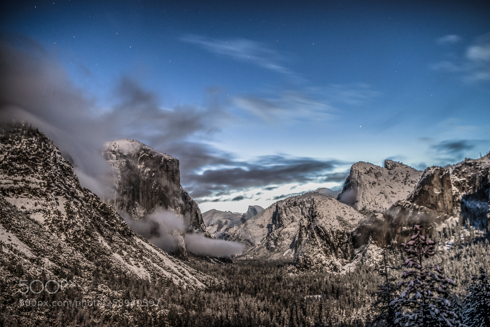 Nikon D800 sample photo. Moonlit tunnel view photography