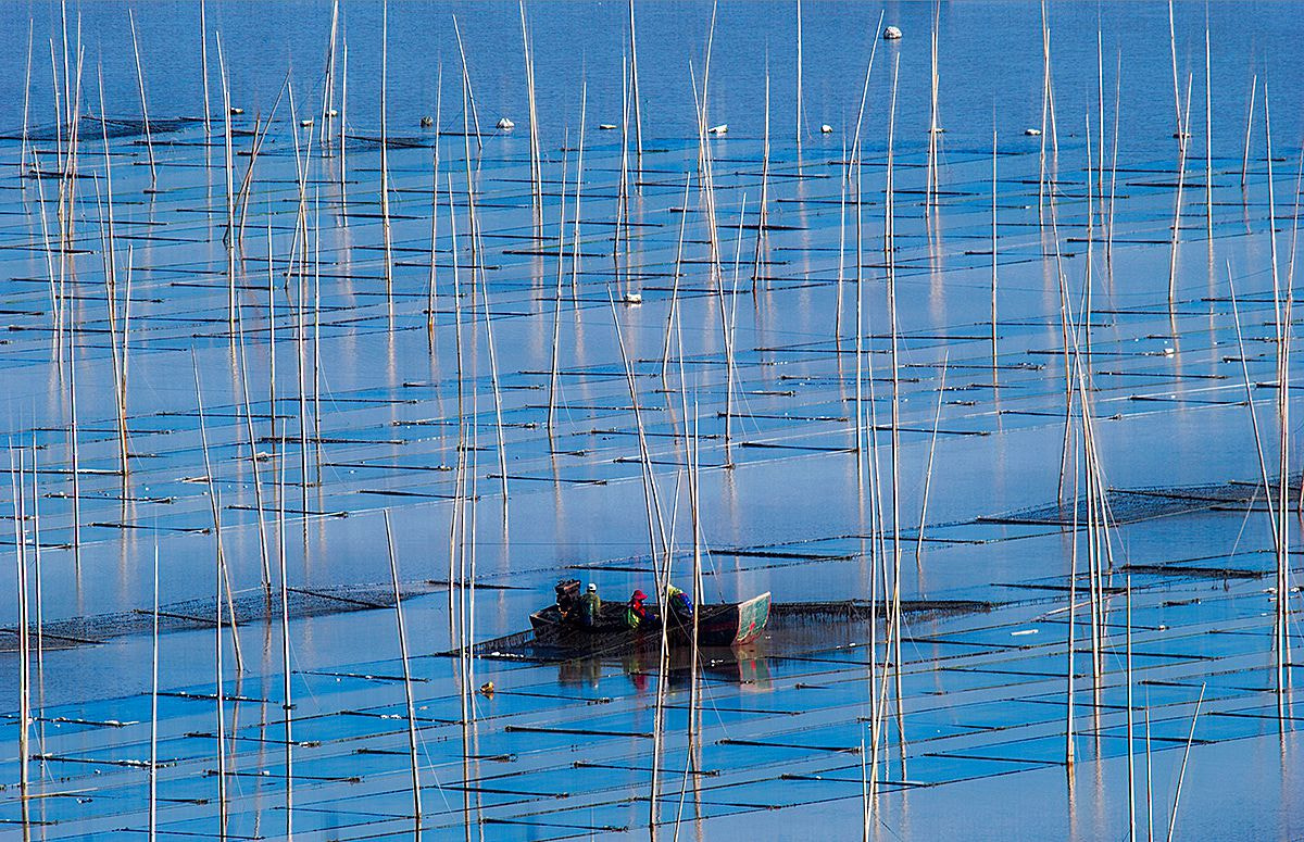 Nikon D1X sample photo. 霞浦小景 photography