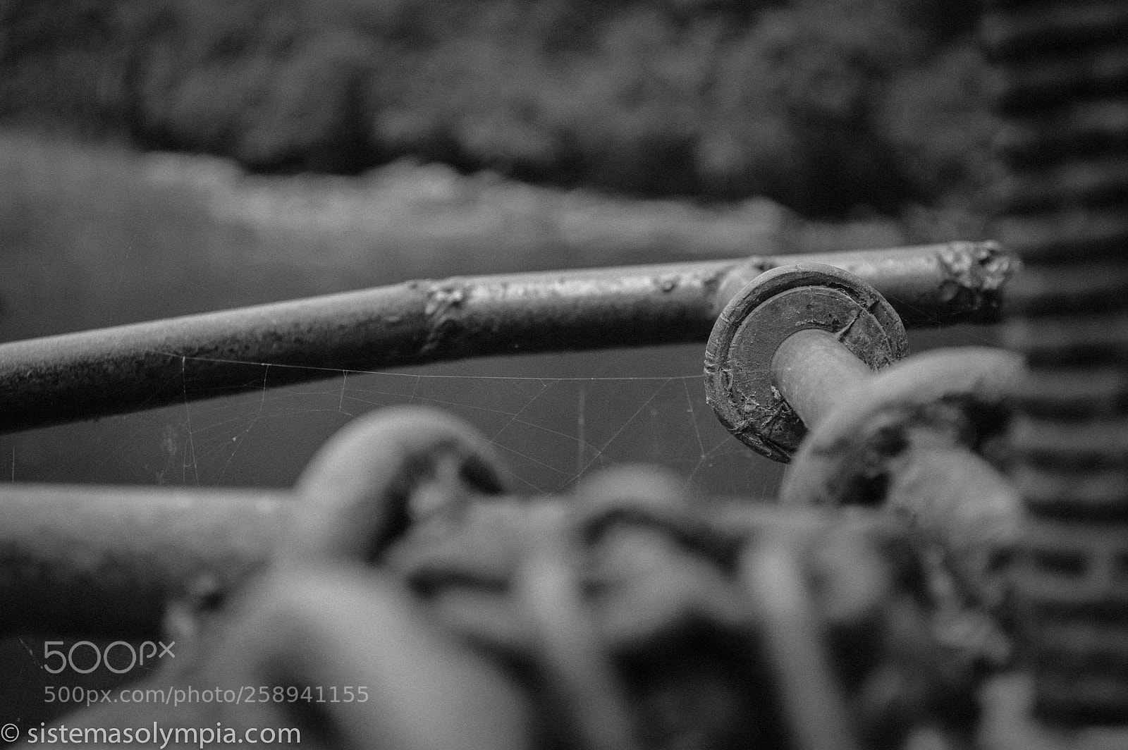 Nikon D3200 sample photo. Cadenas photography