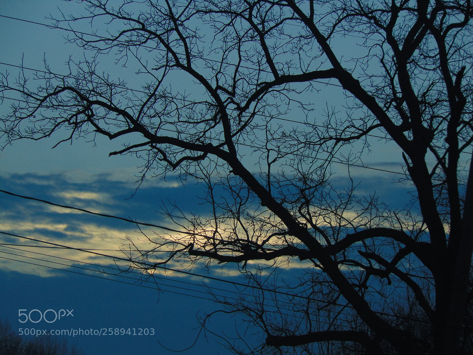 Sony Cyber-shot DSC-H300 sample photo. 046.jpg photography