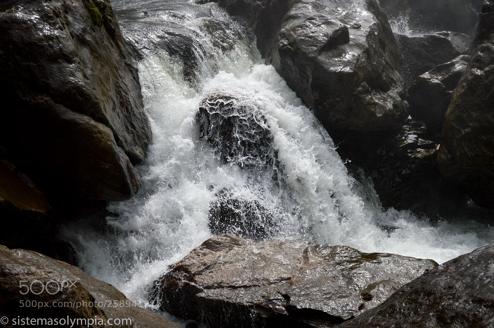 Nikon D3200 sample photo. Fall photography