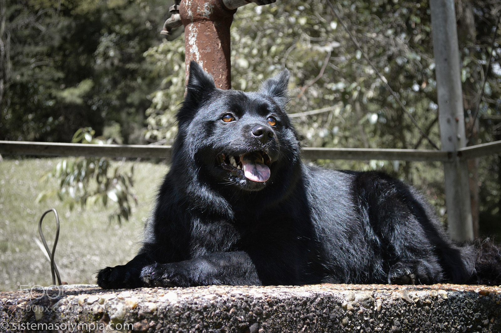 Nikon D3200 sample photo. Frigga quin photography
