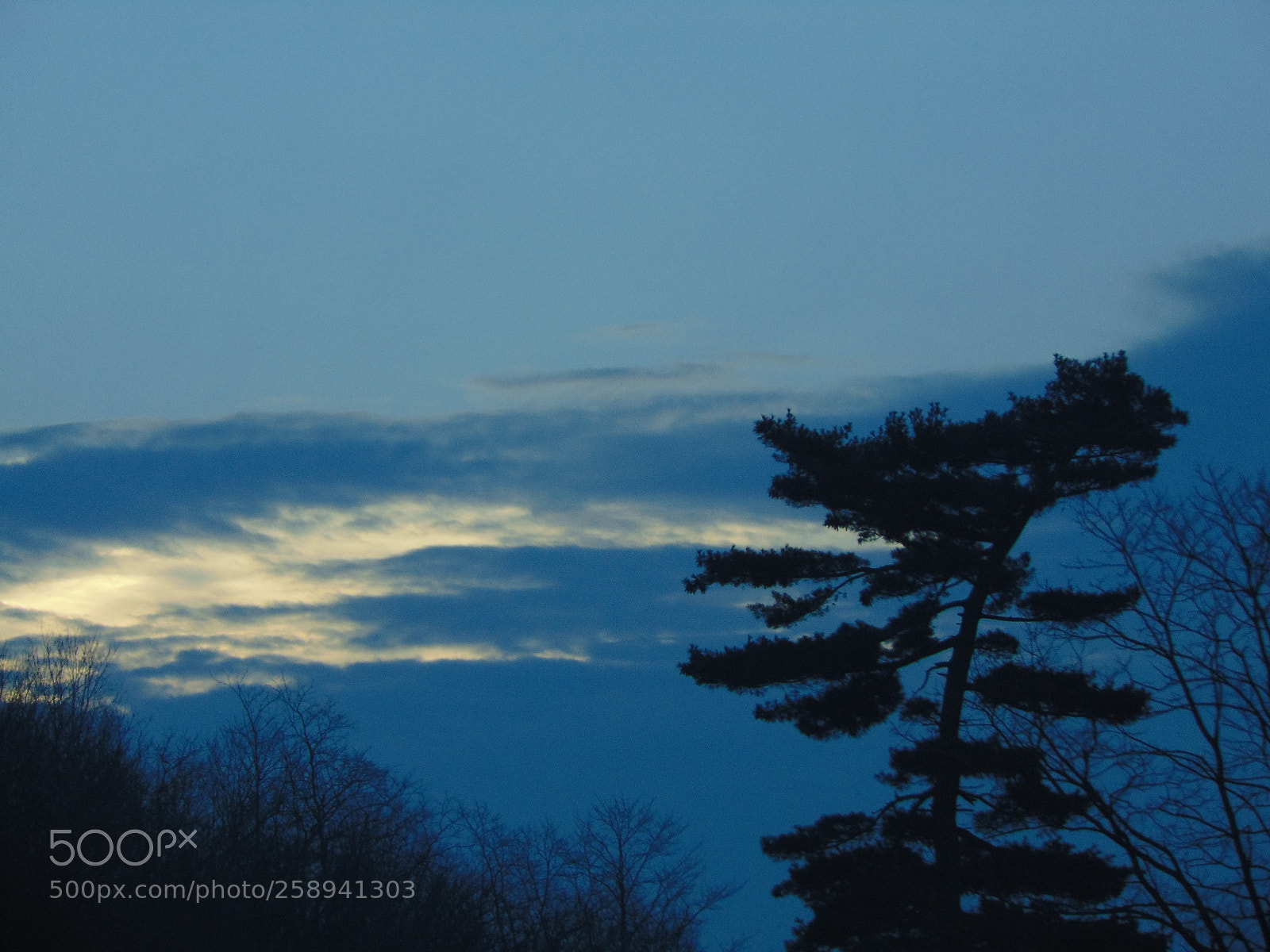 Sony Cyber-shot DSC-H300 sample photo. 048.jpg photography