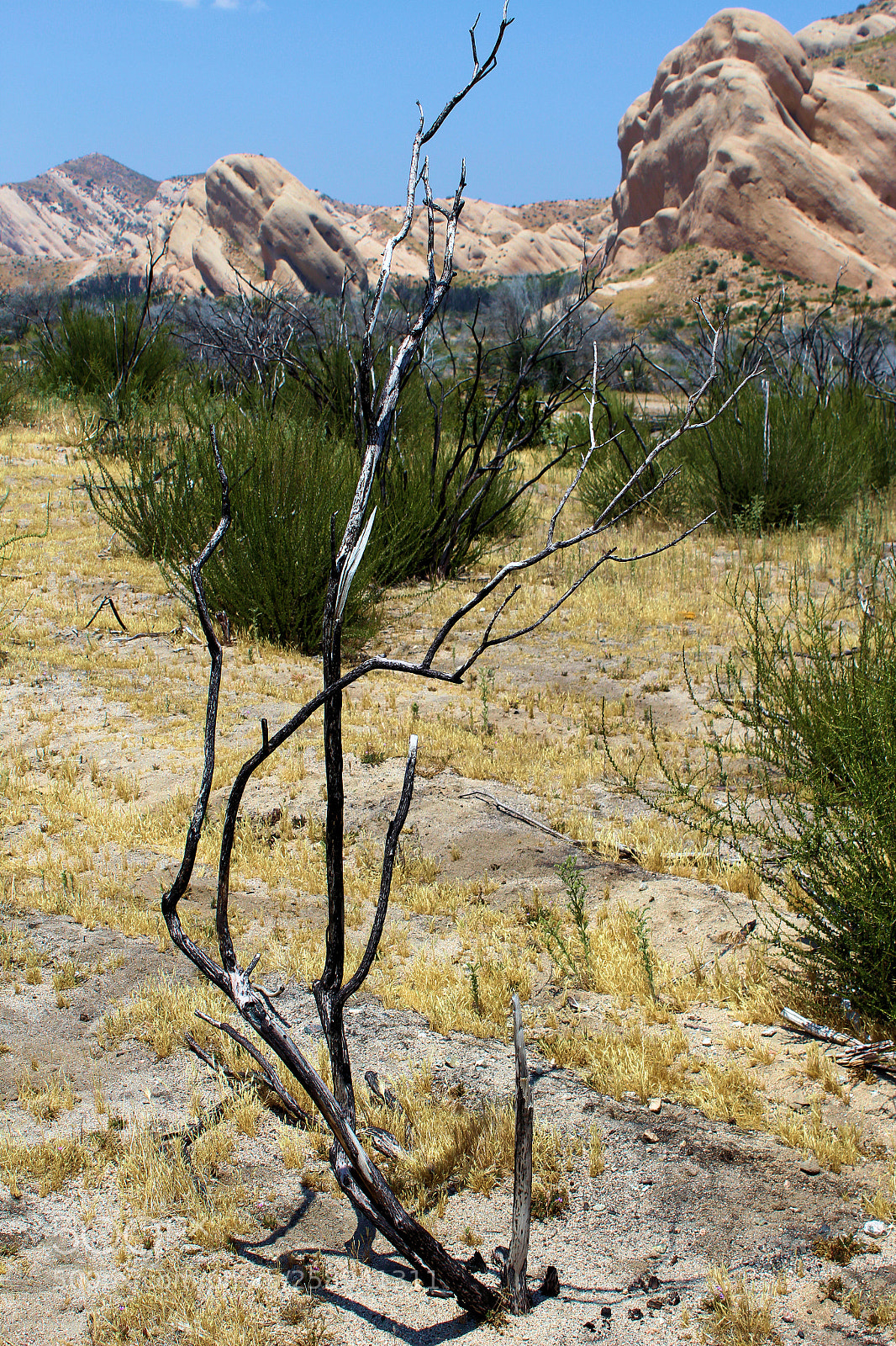 Canon EOS 1300D (EOS Rebel T6 / EOS Kiss X80) sample photo. Desert mountain photography