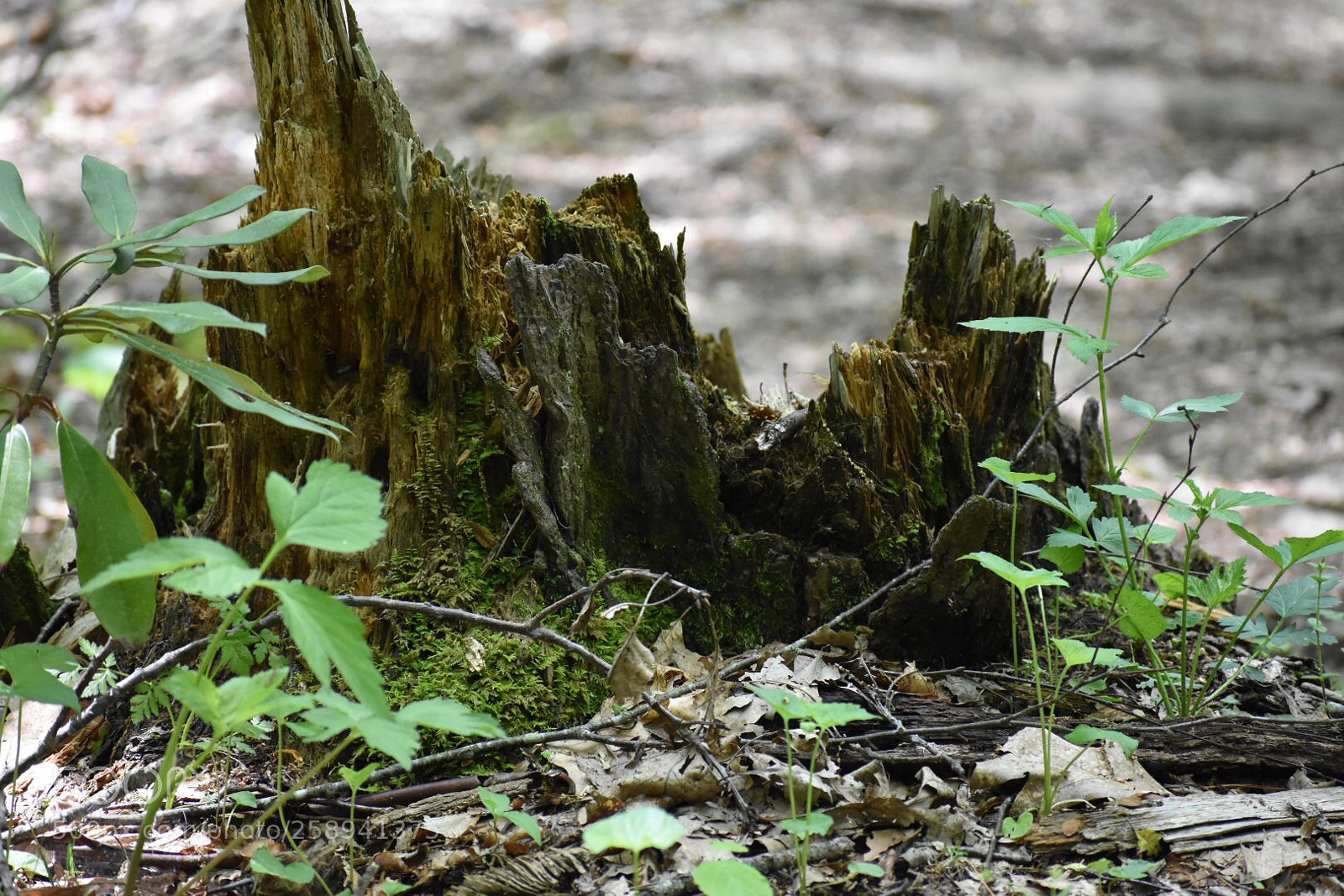 Nikon D3400 sample photo. Untitled photography