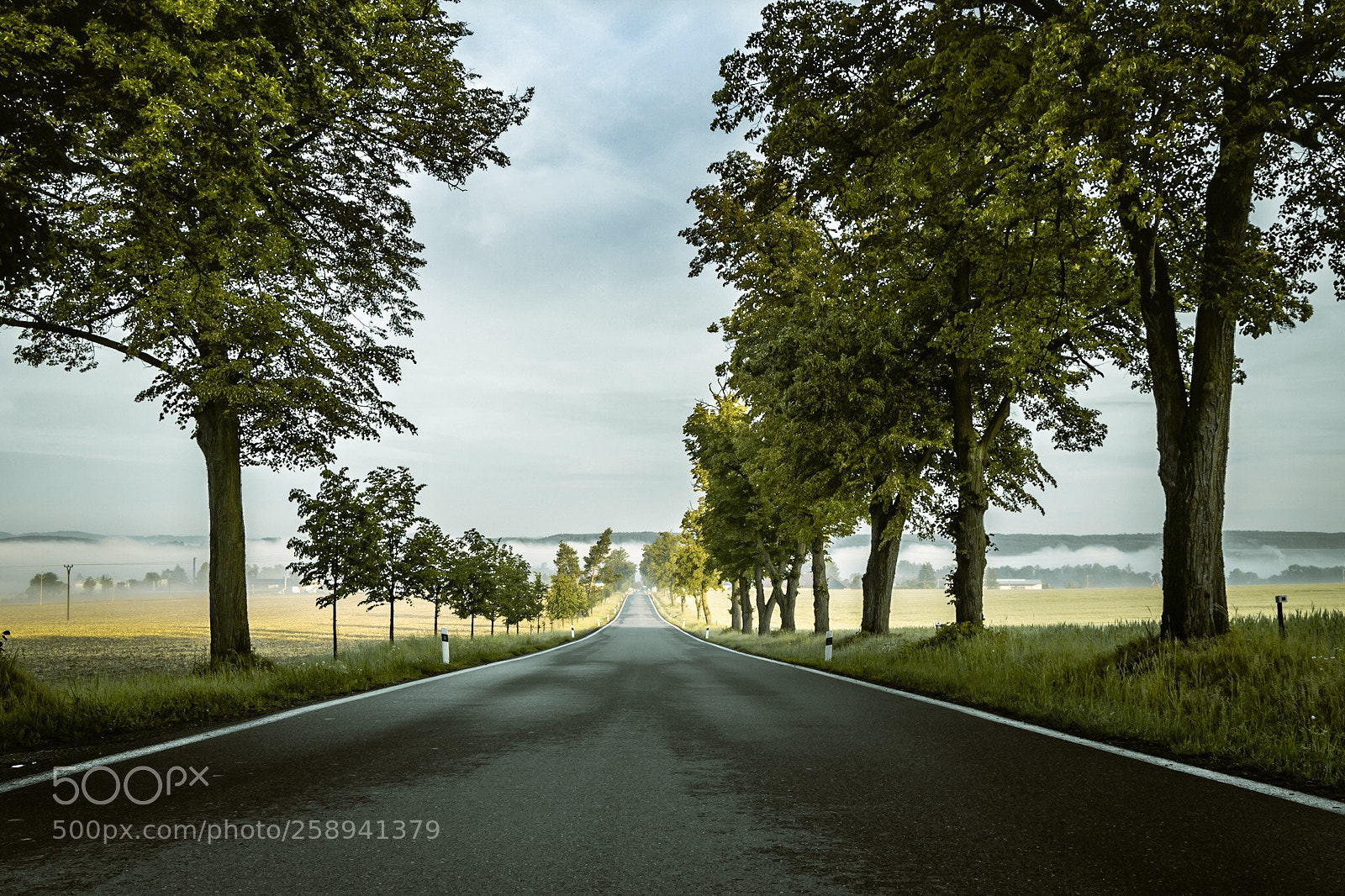 Canon EOS 80D sample photo. Road valley photography