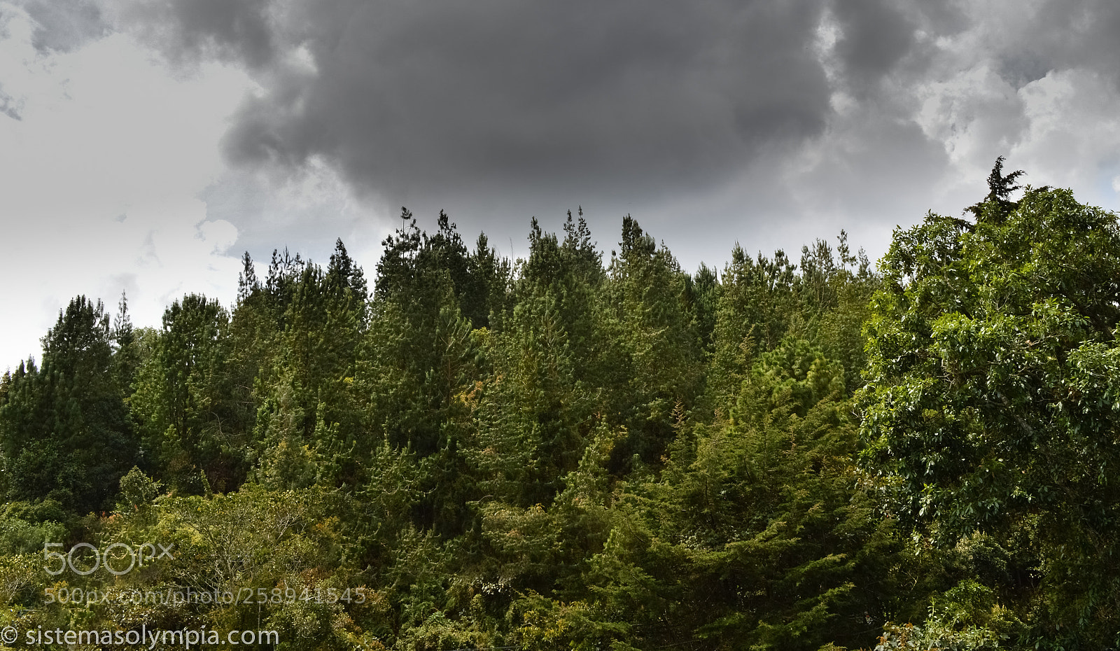 Nikon D3200 sample photo. Mount photography