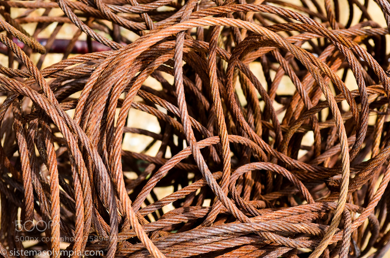 Nikon D3200 sample photo. Rope photography