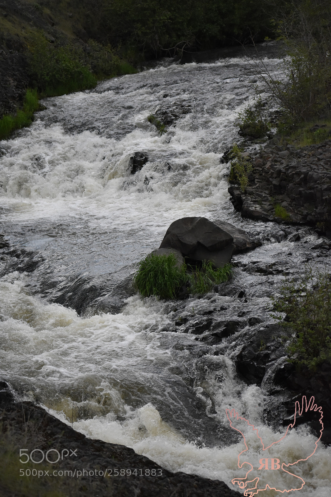 Nikon D3400 sample photo. 5-21-12.jpg photography