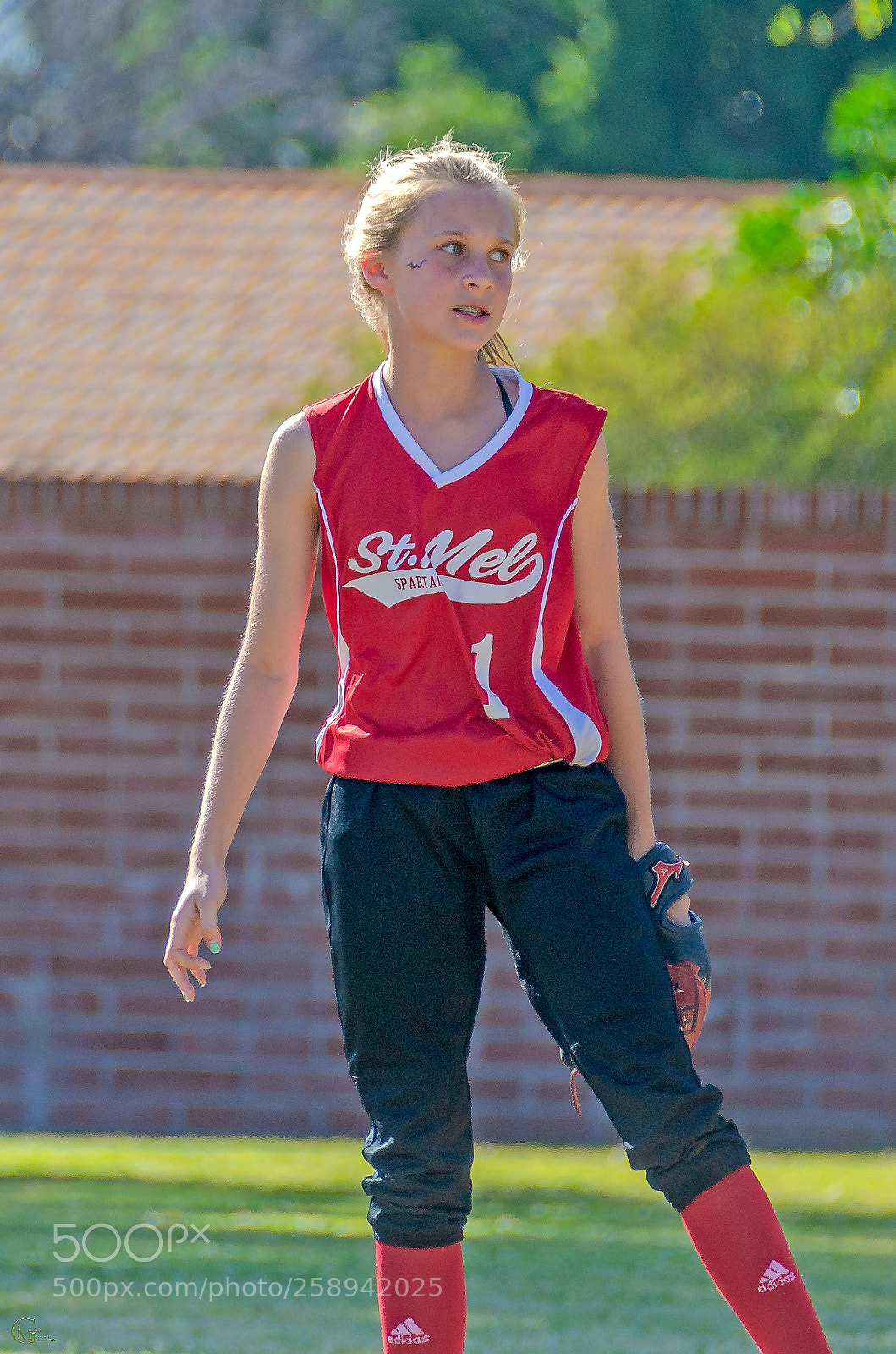 Nikon D7000 sample photo. Player 1 photography