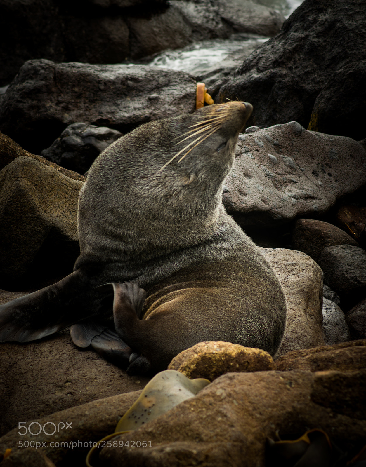 Nikon D3300 sample photo. Afternoon stretch photography