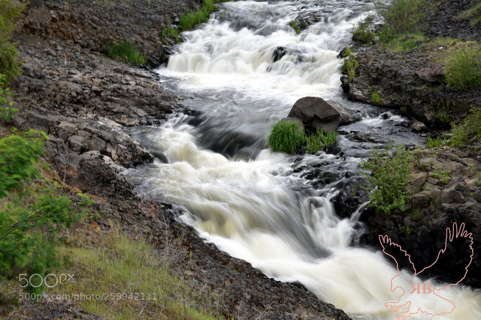 Nikon D3400 sample photo. 5-21-2.jpg photography