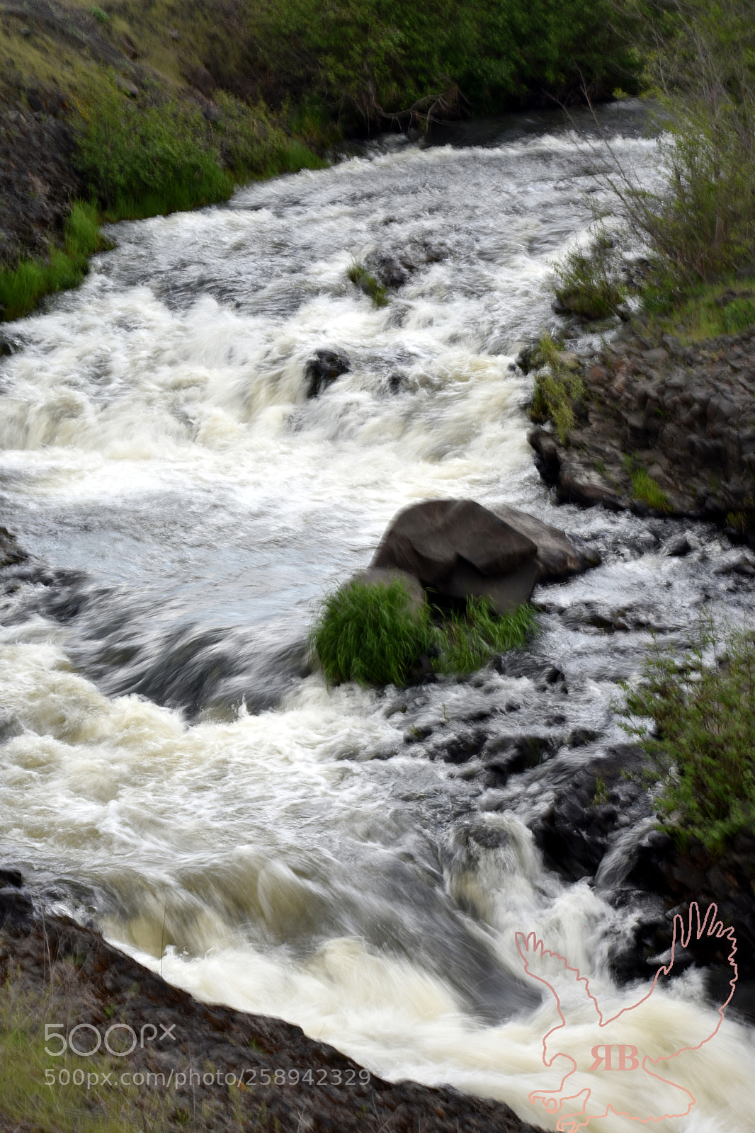 Nikon D3400 sample photo. 5-21-11.jpg photography