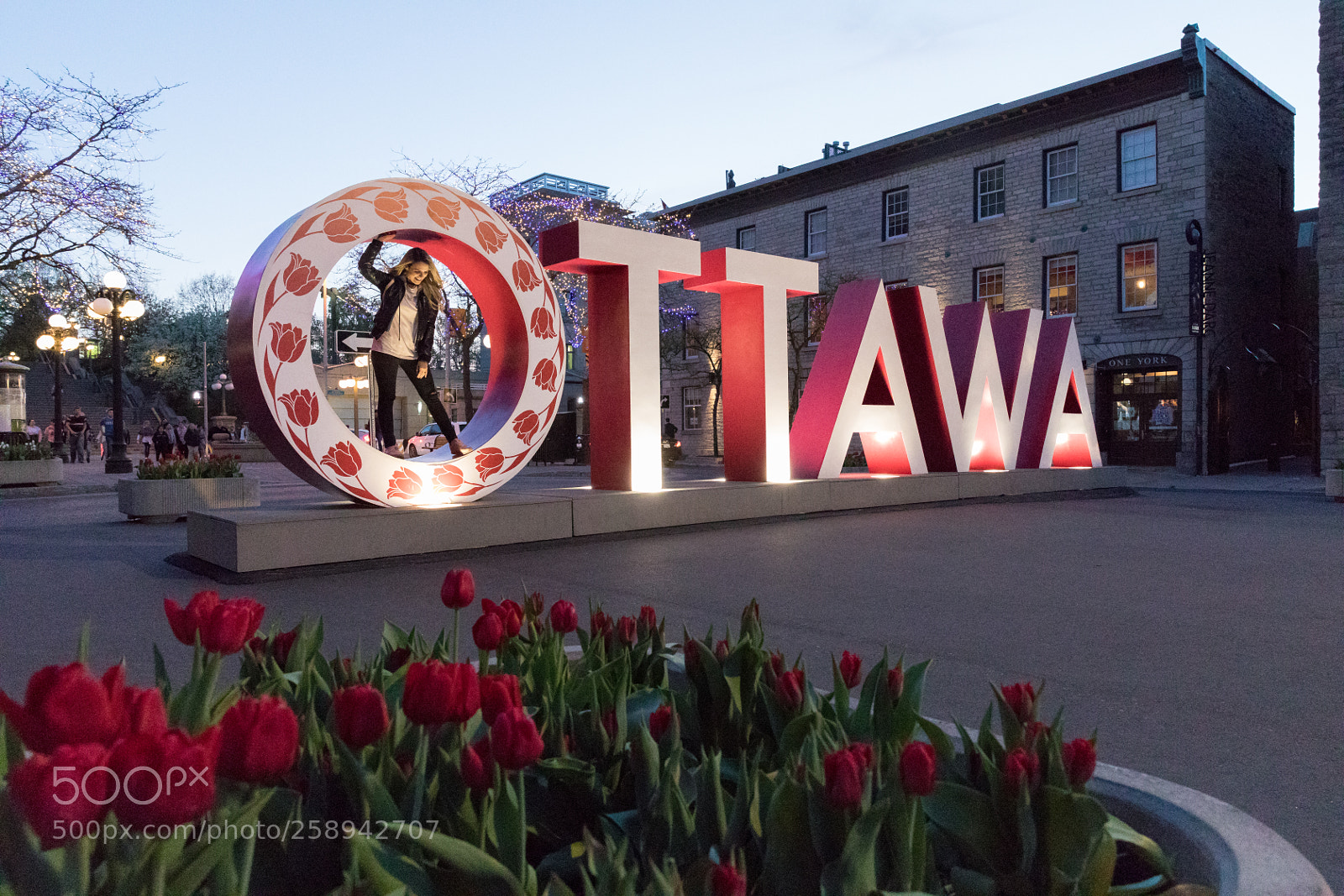 Canon EOS 5D Mark IV sample photo. Ottawa <3 photography