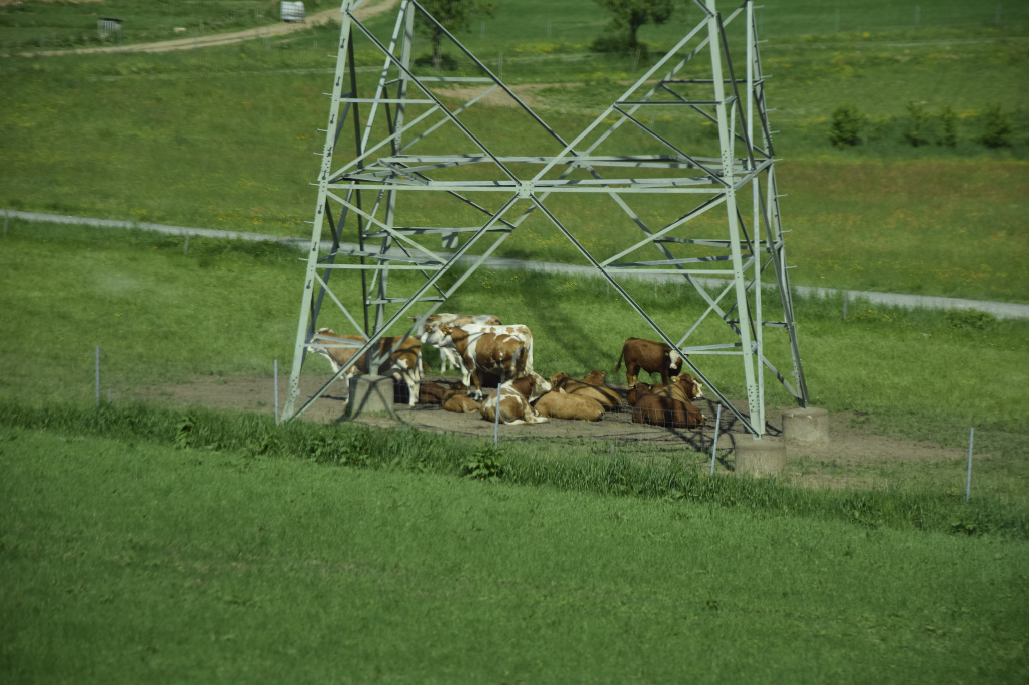 Nikon D5300 sample photo. Life style photography