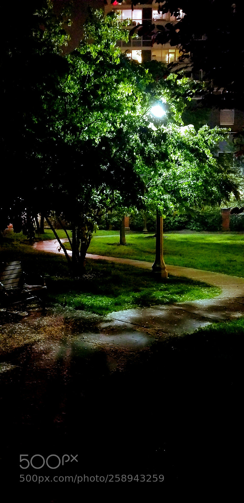 Samsung Galaxy S8 sample photo. The path home photography