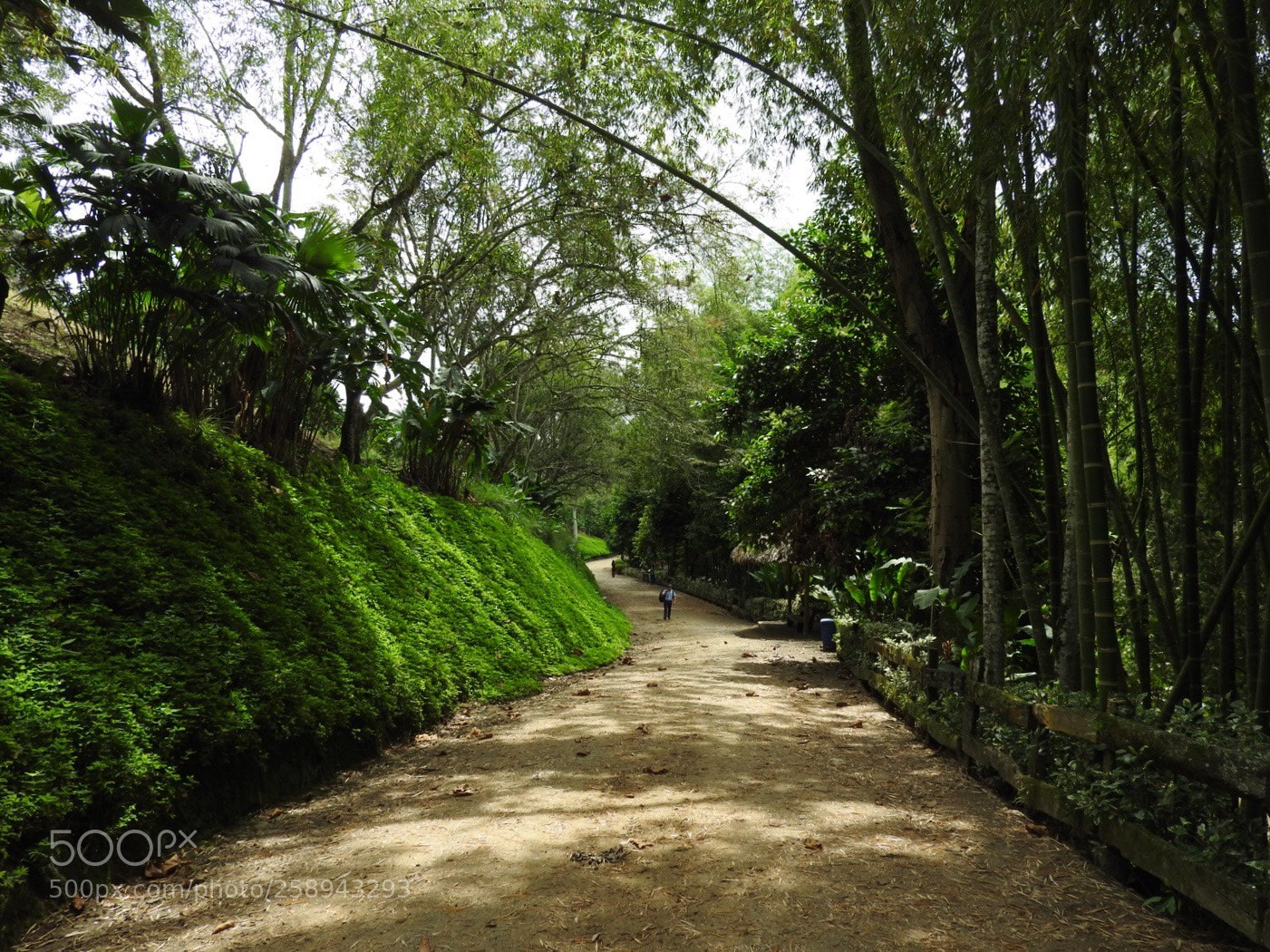 Nikon Coolpix P610 sample photo. Parque nacional de la photography