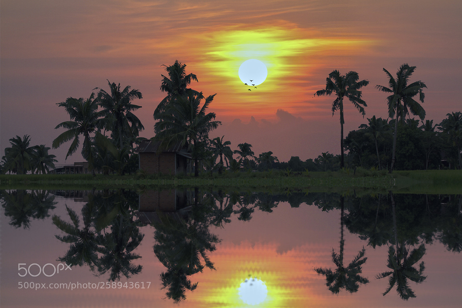 Canon EOS 700D (EOS Rebel T5i / EOS Kiss X7i) sample photo. Sunset photography