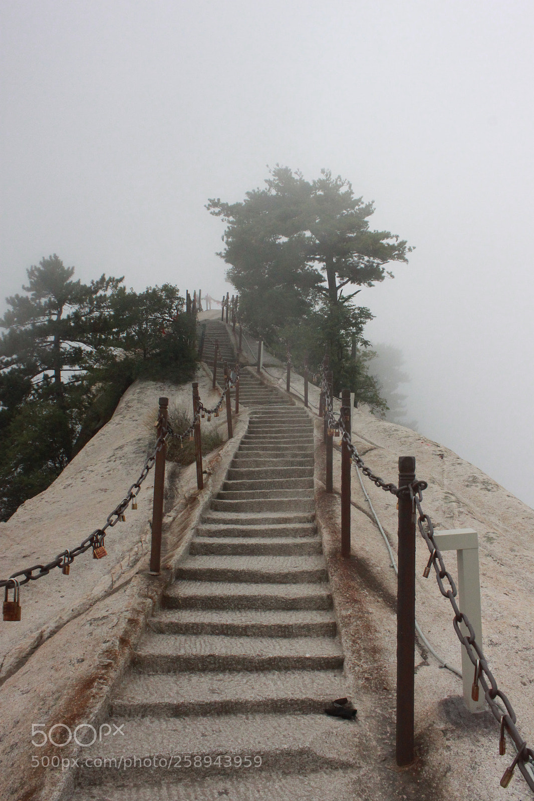 Canon EOS 500D (EOS Rebel T1i / EOS Kiss X3) sample photo. Foggy ascent photography