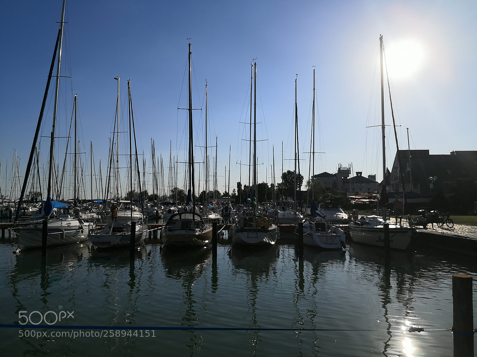 HUAWEI Mate 10 Pro sample photo. Untitled photography