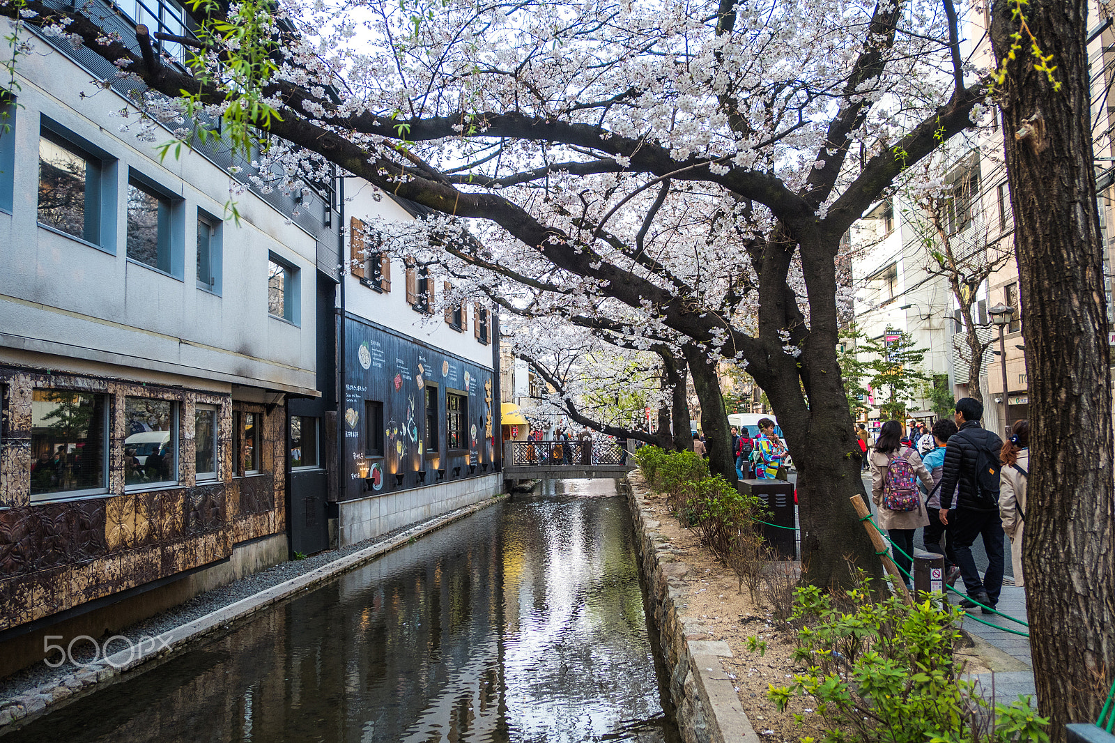Fujifilm X-A10 sample photo. C photography