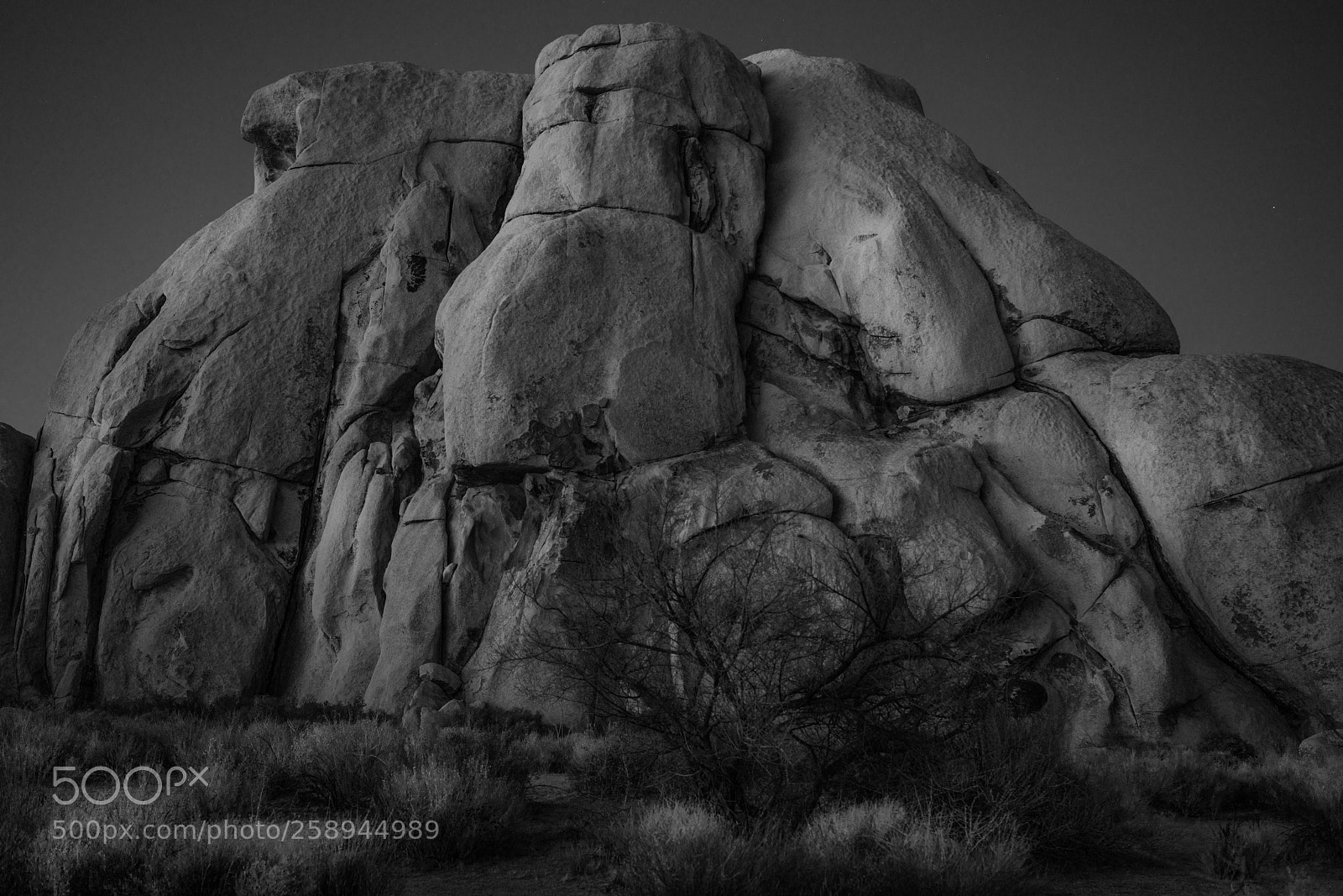 Sony a7R II sample photo. Joshua tree national park photography
