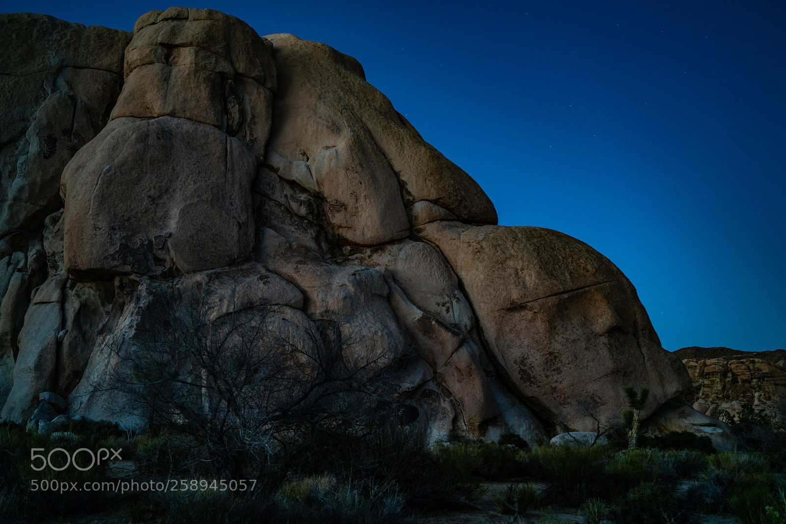 Sony a7R II sample photo. Joshua tree national park photography