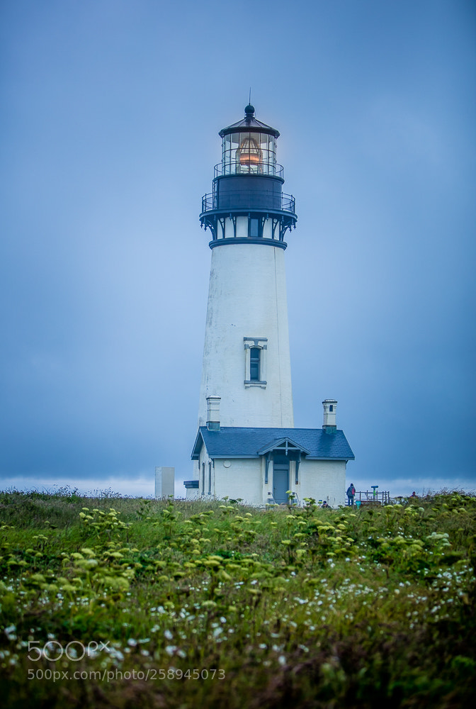 Canon EOS 5DS R sample photo. Sa photography