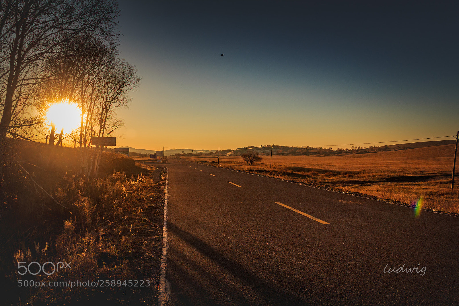 Canon EOS 60D sample photo. Road trip photography