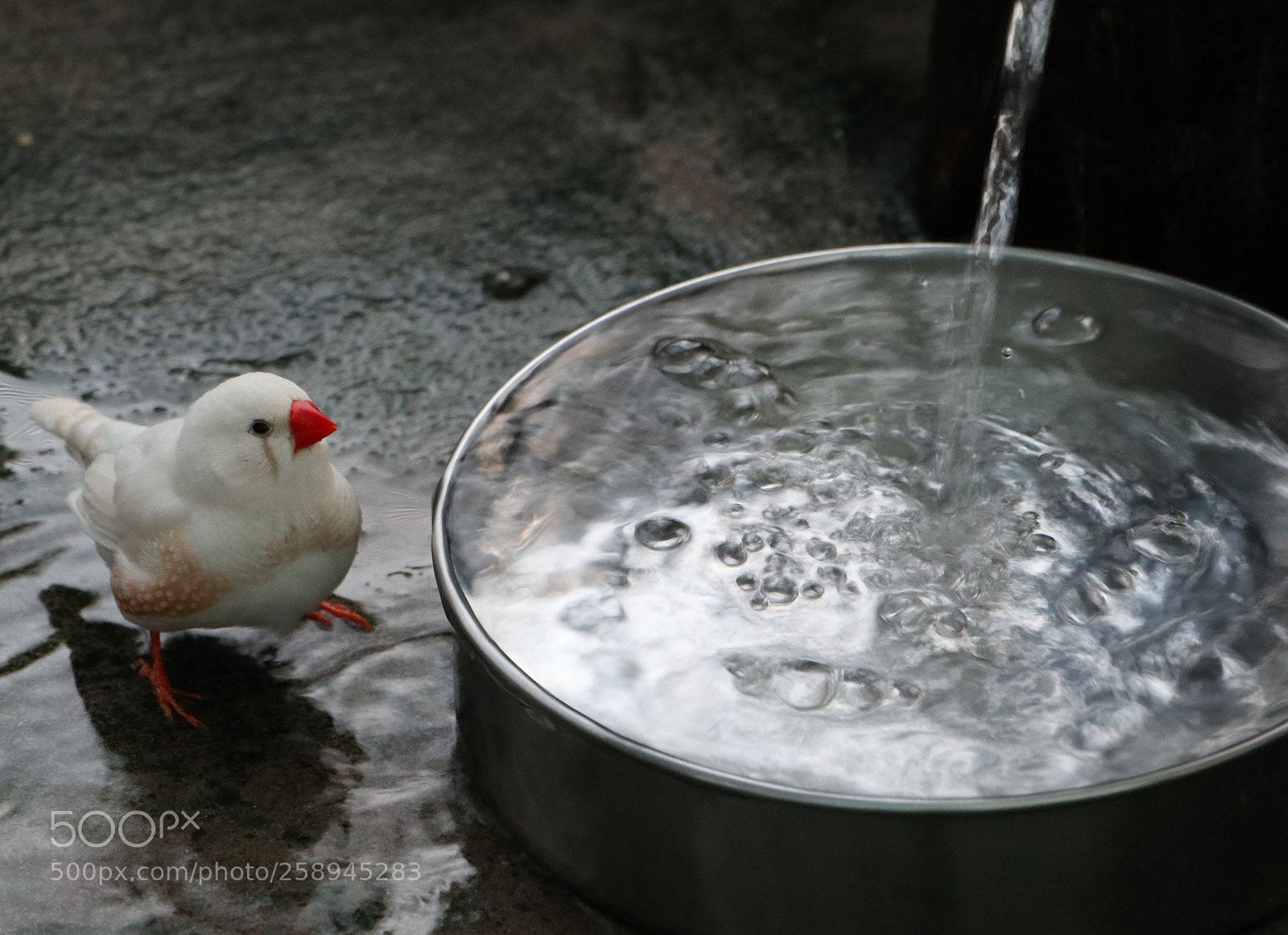 Canon EOS M5 sample photo. Untitled photography