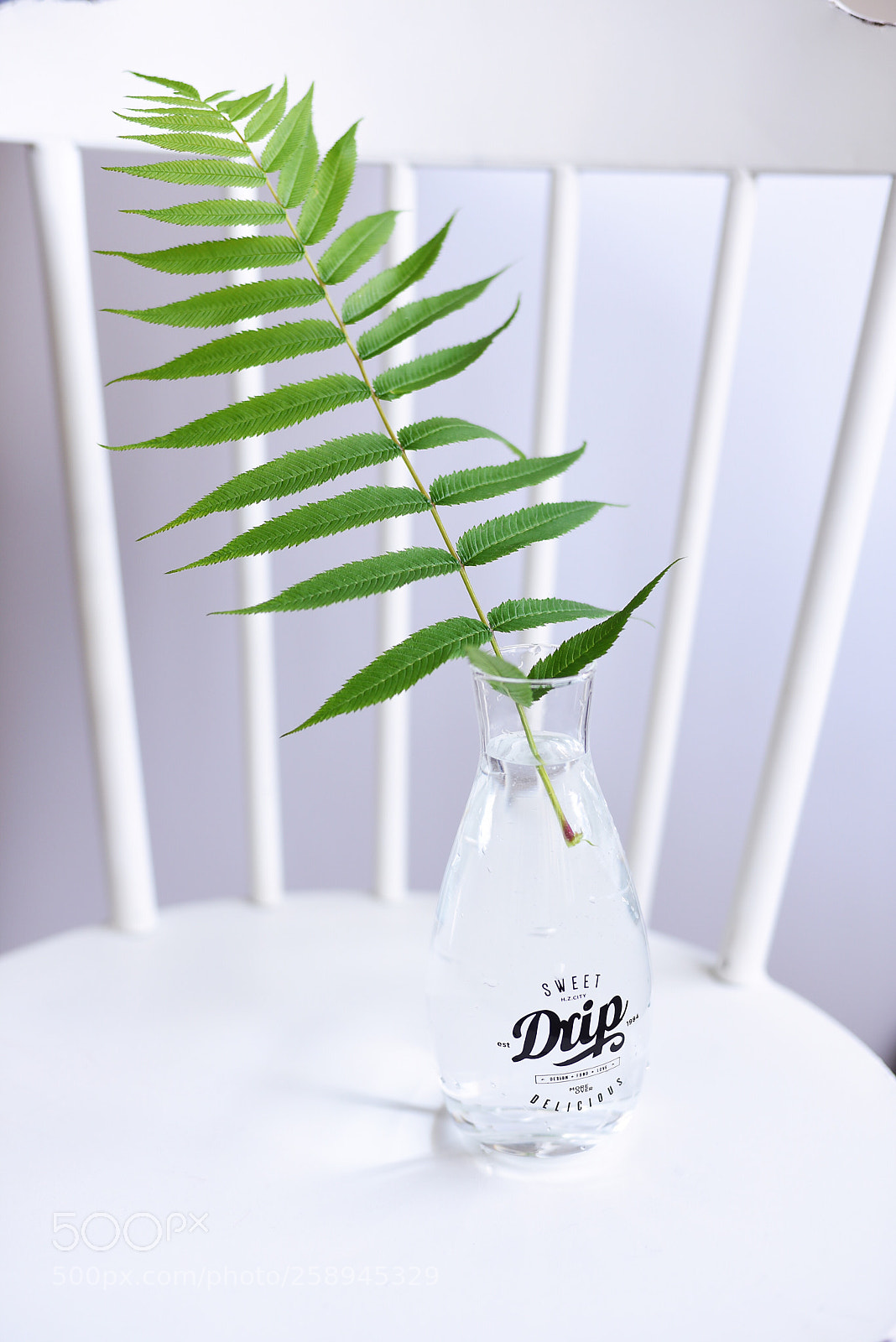 Nikon D750 sample photo. Summer  photography