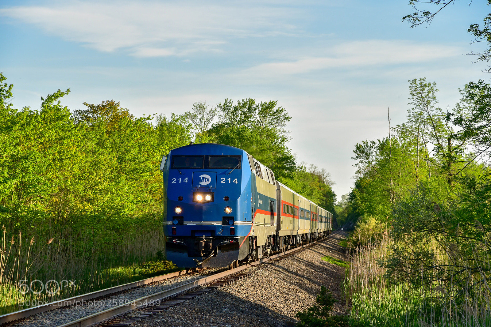 Nikon D750 sample photo. Metro north's wassaic express photography