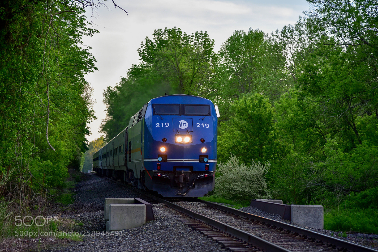 Nikon D750 sample photo. Wassaic express flying through photography