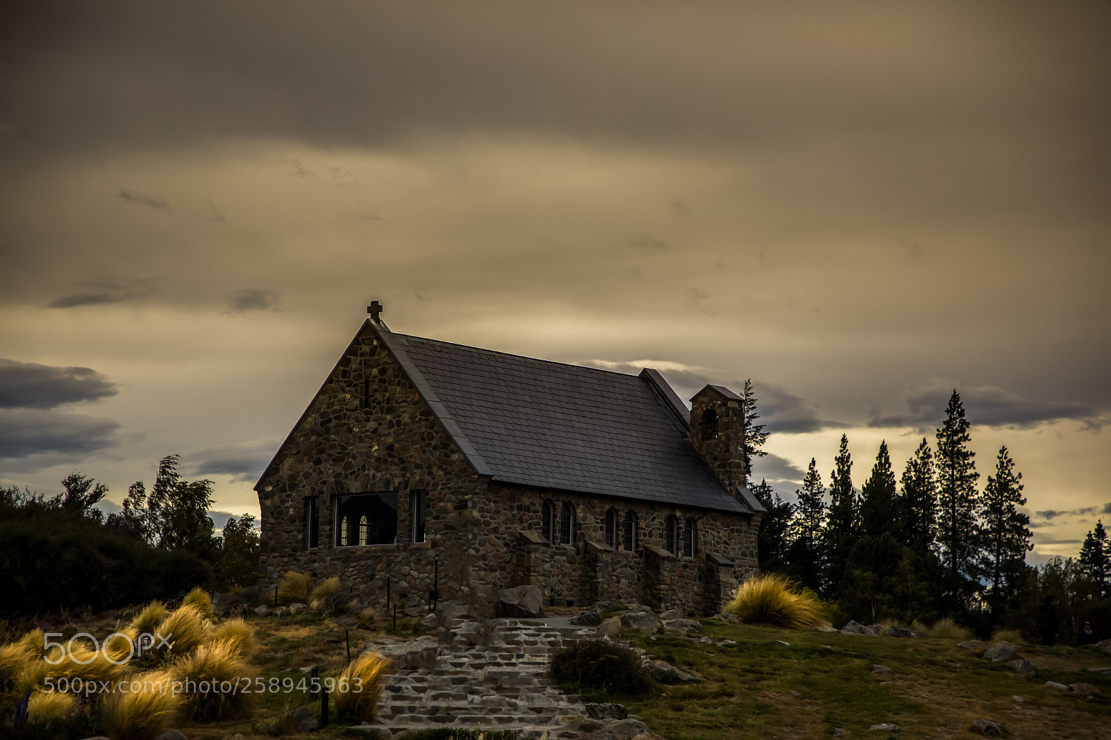 Canon EOS 5D Mark IV sample photo. Good shepherd photography