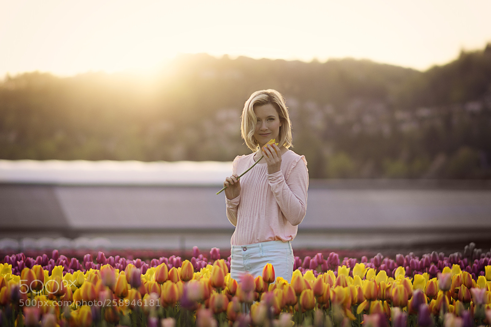 Nikon D5200 sample photo. Tulip festival photography
