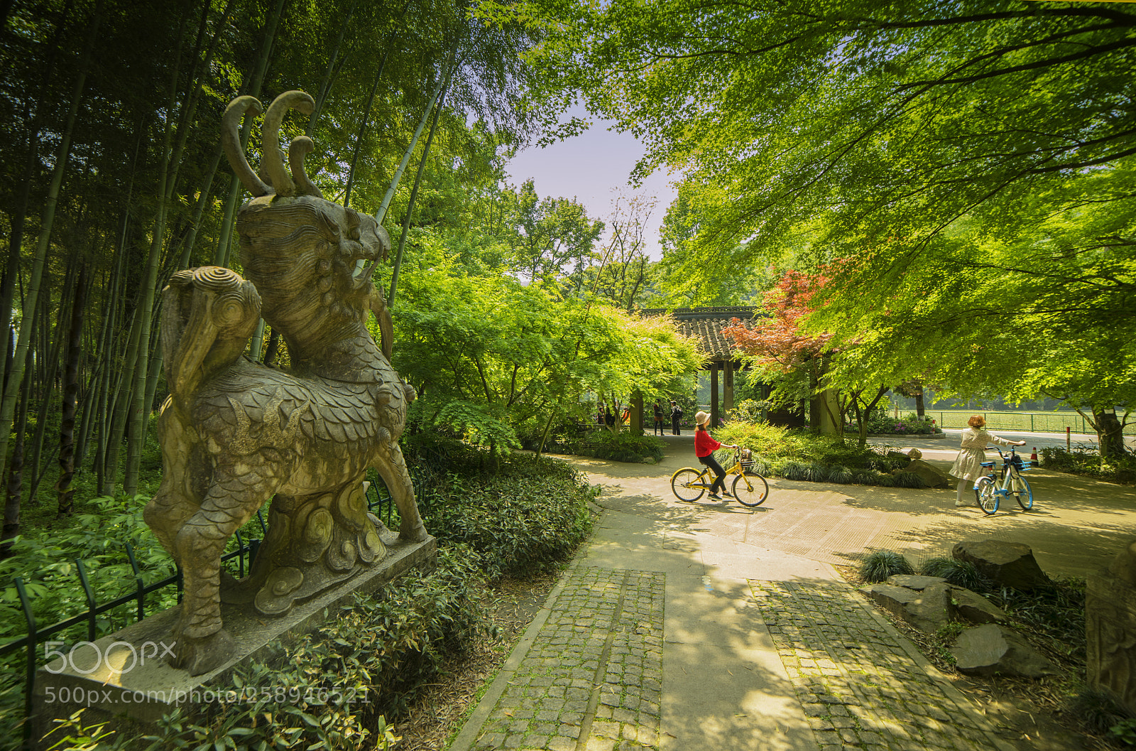 Nikon D750 sample photo. Suburb of hangzhou photography