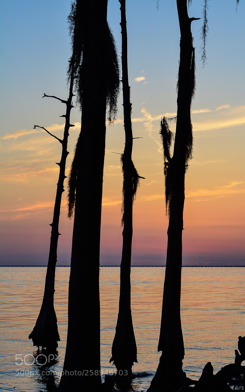 Nikon D7100 sample photo. Sunset in louisiana  photography