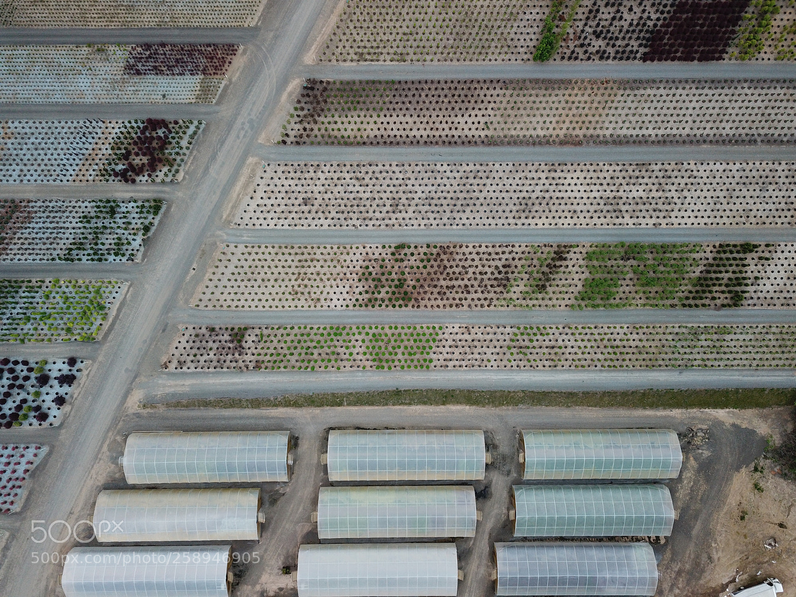 DJI FC220 sample photo. Greenhouses photography