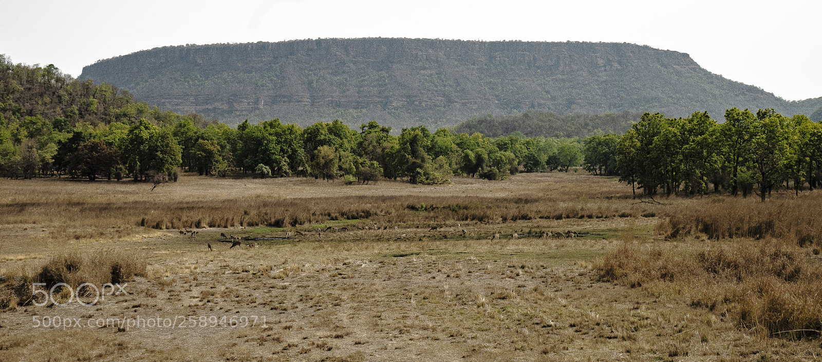 Sony a7R II sample photo. Banghavgarh forte! photography